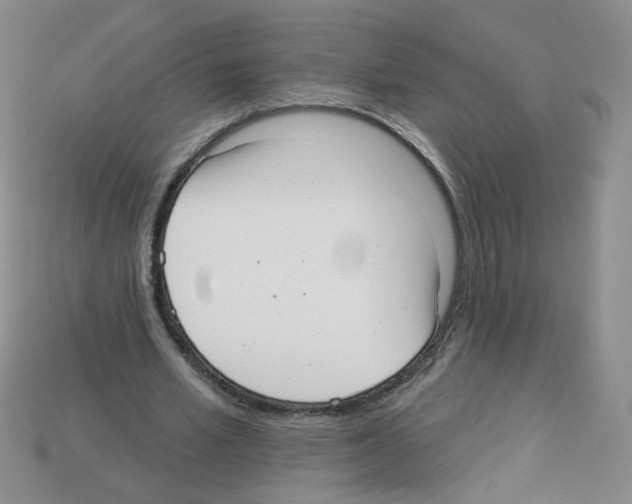 X0000112960581200910081048