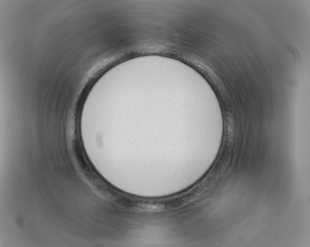 X0000112960582200910081048