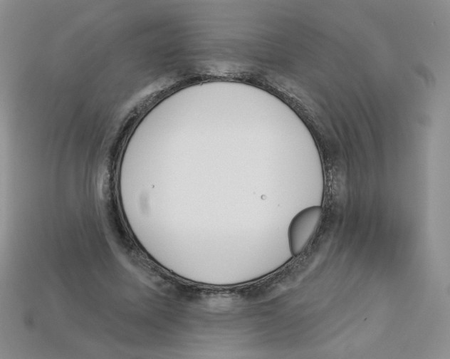 X0000112960587200910081048