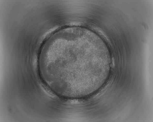 X0000112960588200910081047