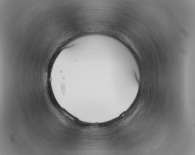 X0000112960589200910081047