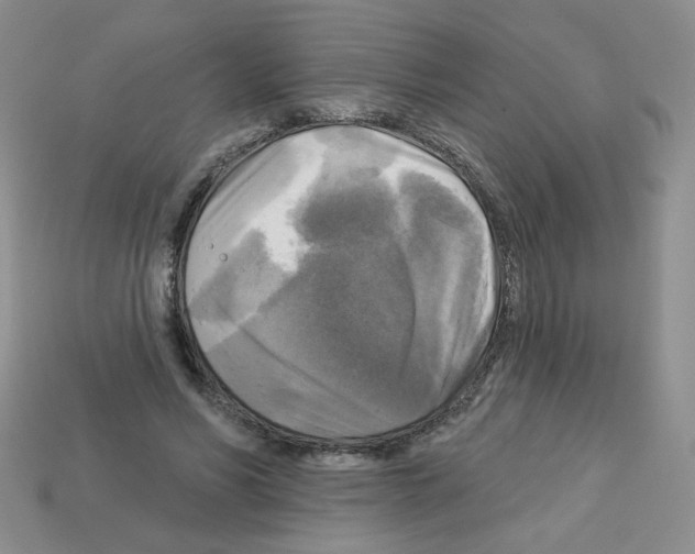 X0000112960590200910081047