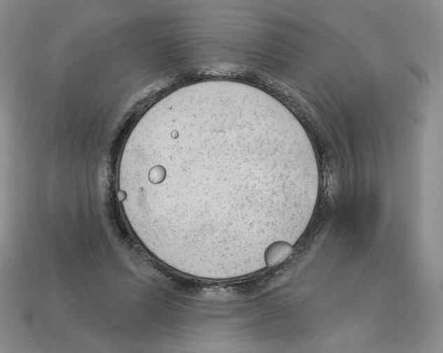 X0000112960591200910081047