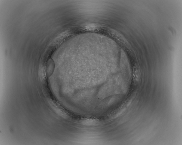 X0000112960593200910081047