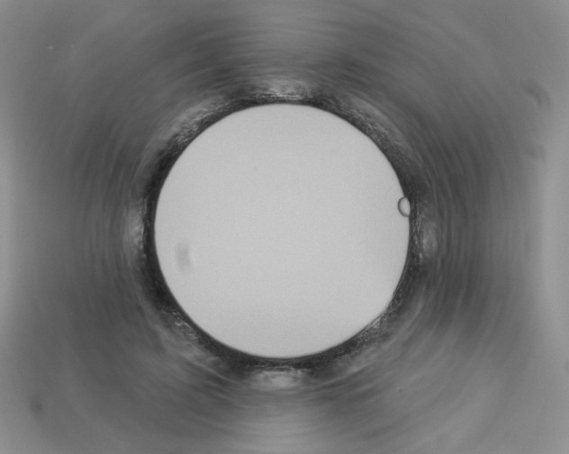 X0000112960595200910081047