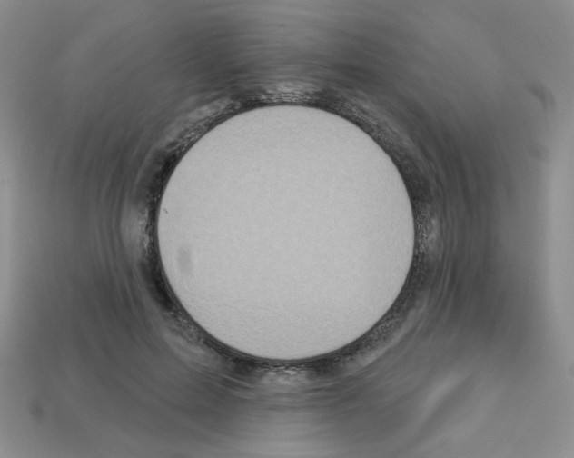 X0000112960599200910081047