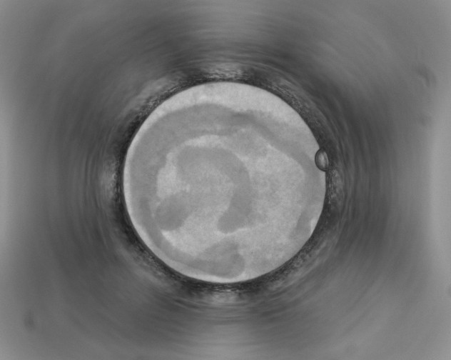 X0000112960600200910081047