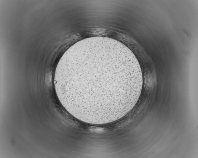 X0000112960602200910081047