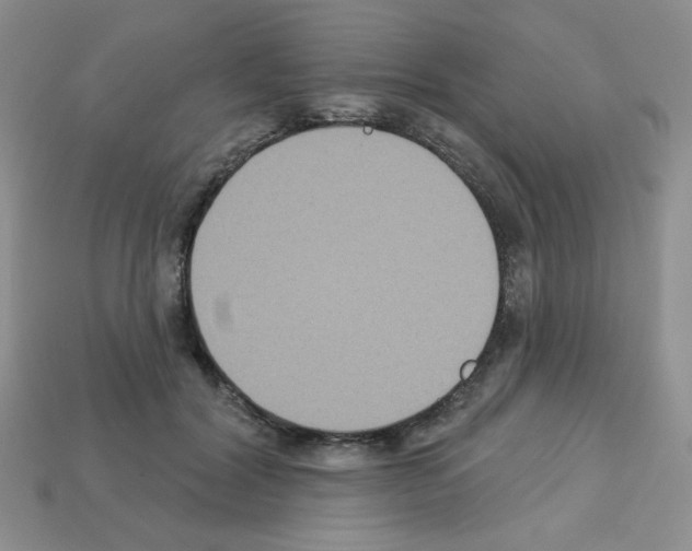 X0000112960604200910081047