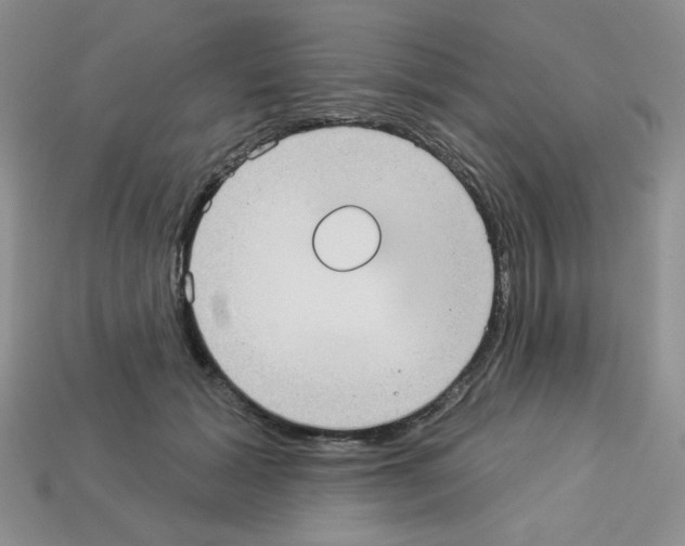 X0000112960605200910081047