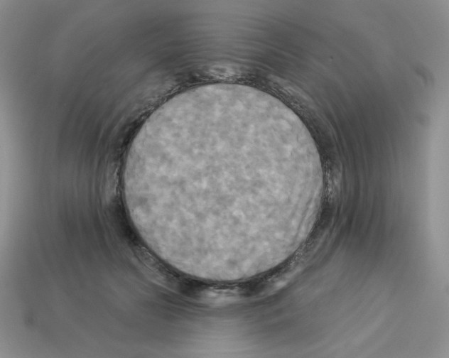 X0000112960606200910081047