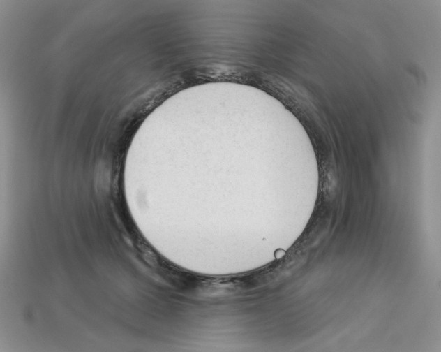 X0000112960607200910081047