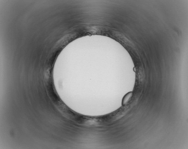 X0000112960611200910081047