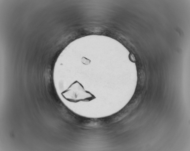 X0000112960612200910081047