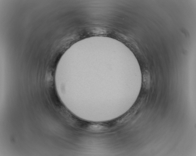 X0000112960614200910081047