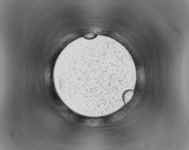 X0000112960615200910081047