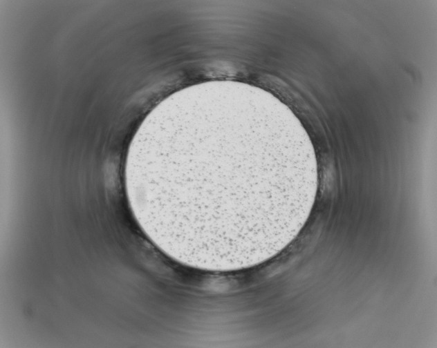 X0000112960616200910081047