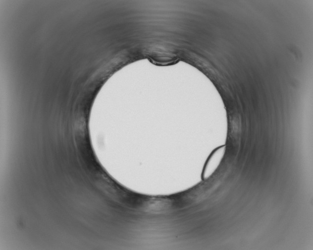 X0000112960617200910081047