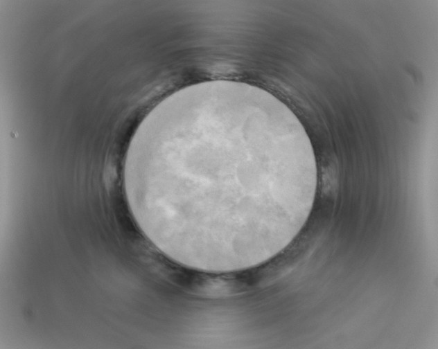 X0000112960618200910081047