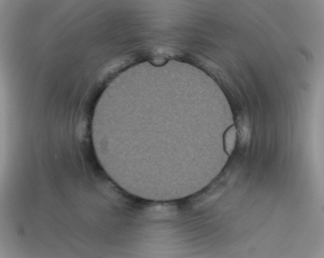 X0000112960619200910081047