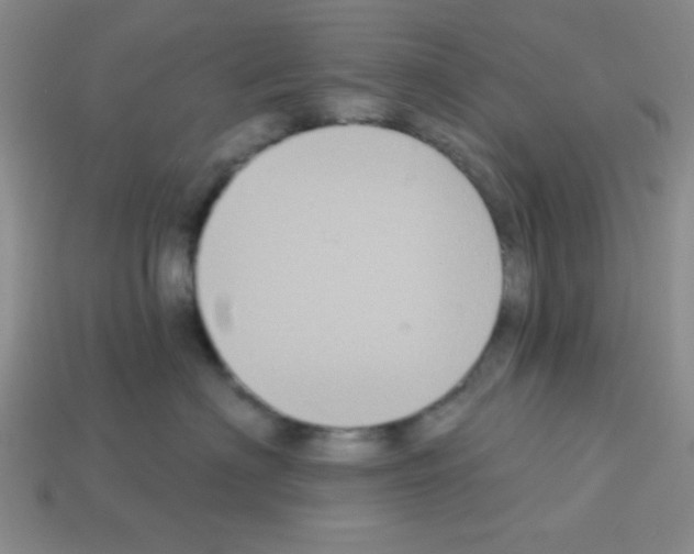 X0000112960622200910081047