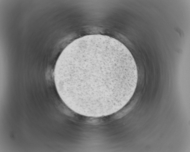 X0000112960624200910081047