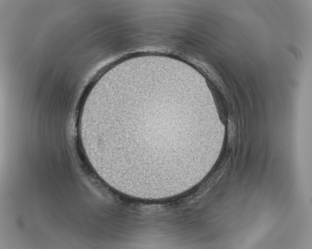 X0000112960628200910081046