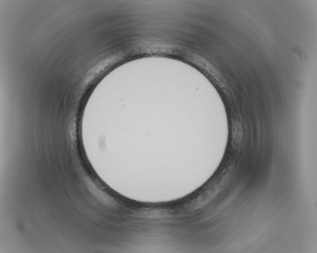 X0000112960629200910081046