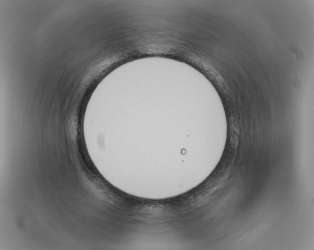 X0000112960631200910081046