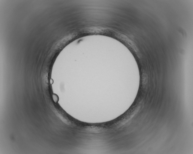 X0000112960633200910081047