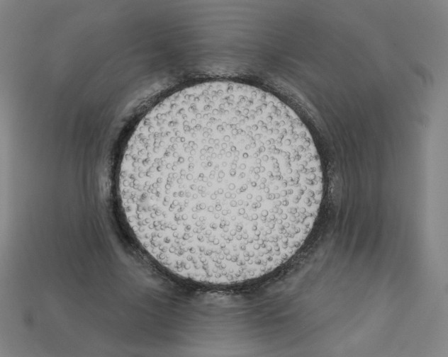 X0000112960635200910081047