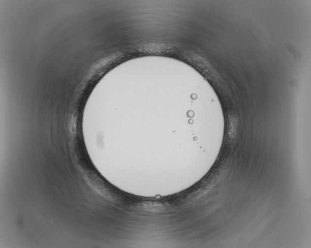 X0000112960636200910081047