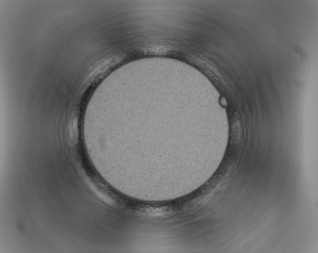 X0000112960638200910081047