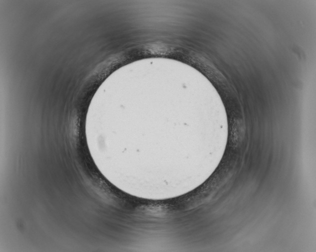 X0000112960639200910081047