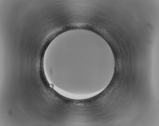 X0000112960640200910081047