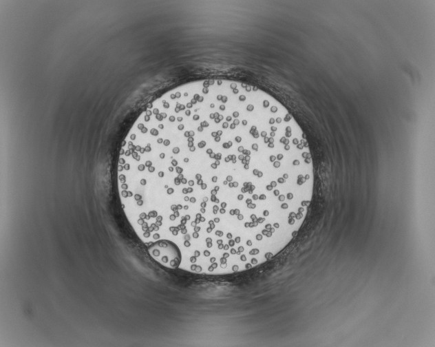 X0000112960642200910081047