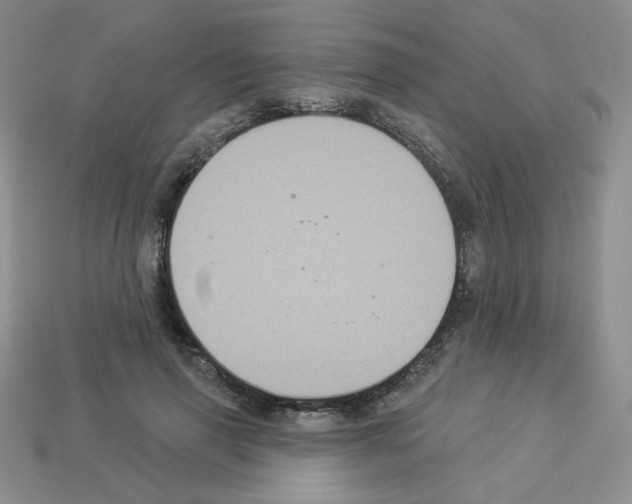 X0000112960645200910081047