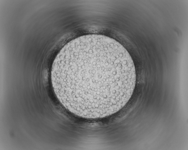 X0000112960646200910081047