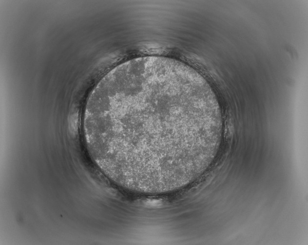 X0000112960647200910081047