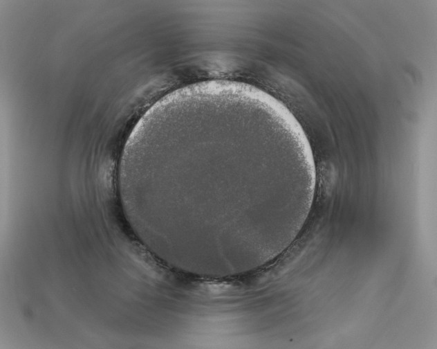 X0000112960650200910081047