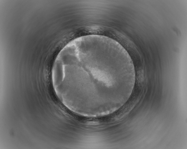 X0000112960653200910081047