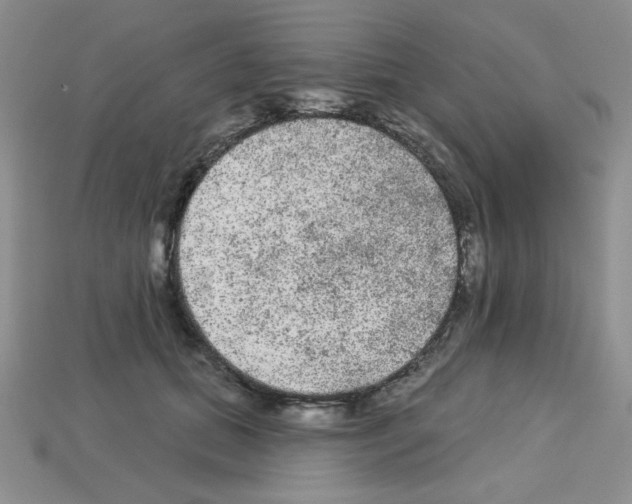 X0000112960655200910081047