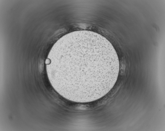 X0000112960656200910081047