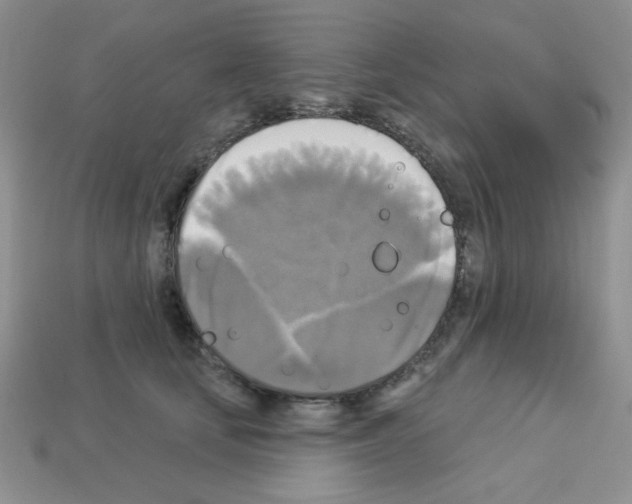 X0000112960659200910081047