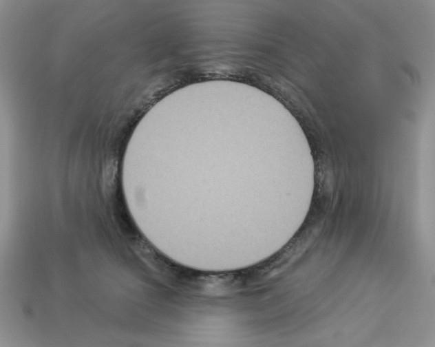 X0000112960660200910081047