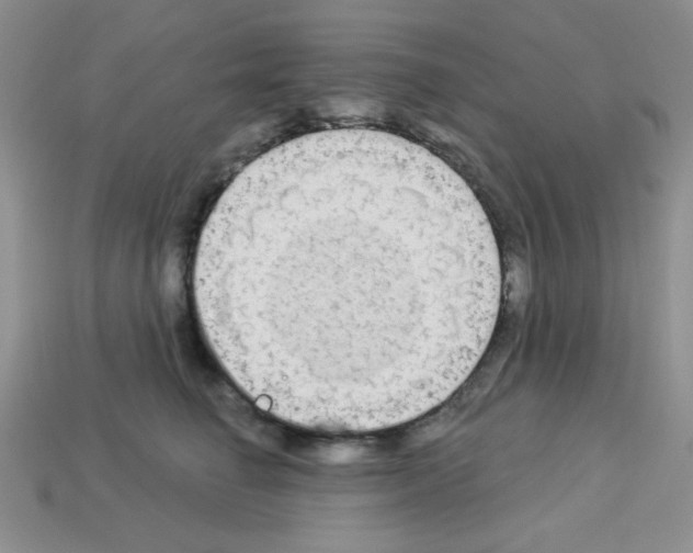 X0000112960662200910081047