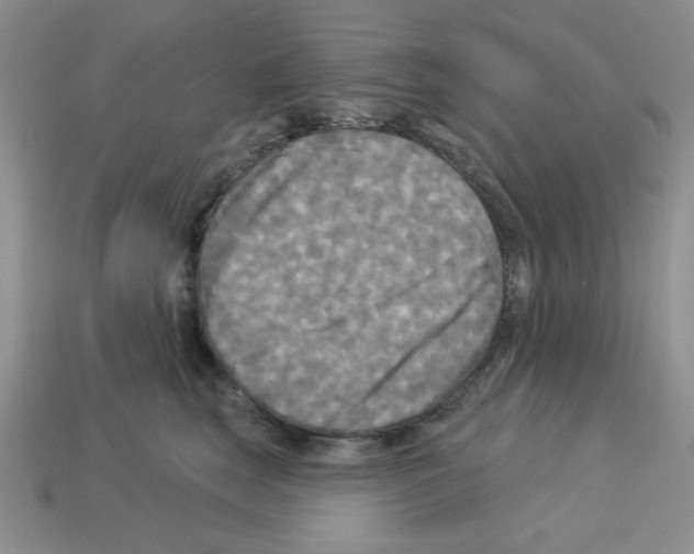 X0000112960663200910081047