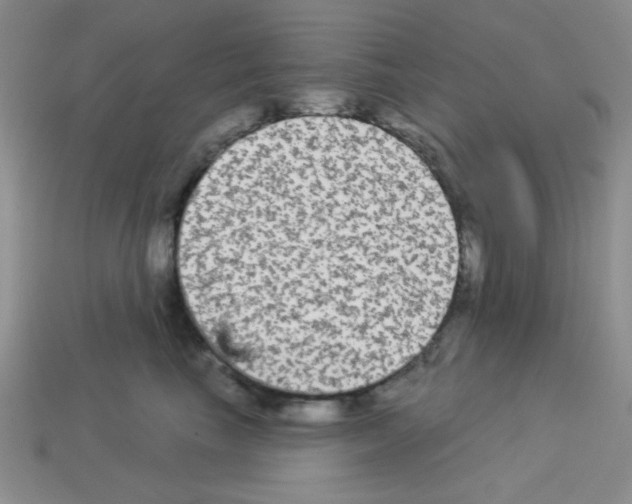 X0000112960665200910081047