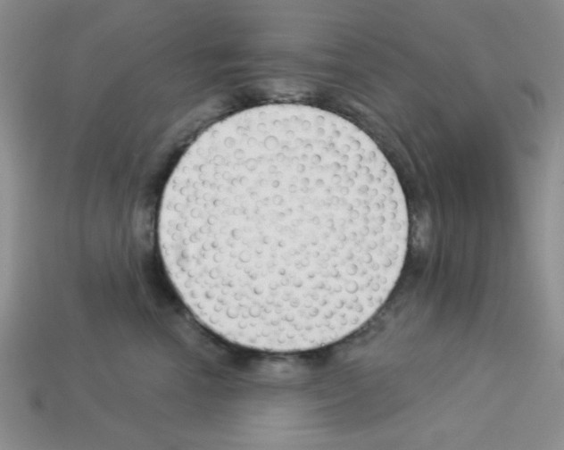 X0000112960666200910081047