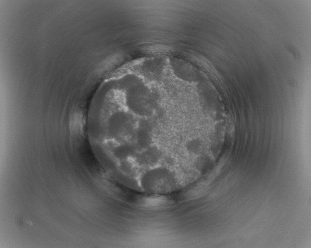 X0000112960669200910081047